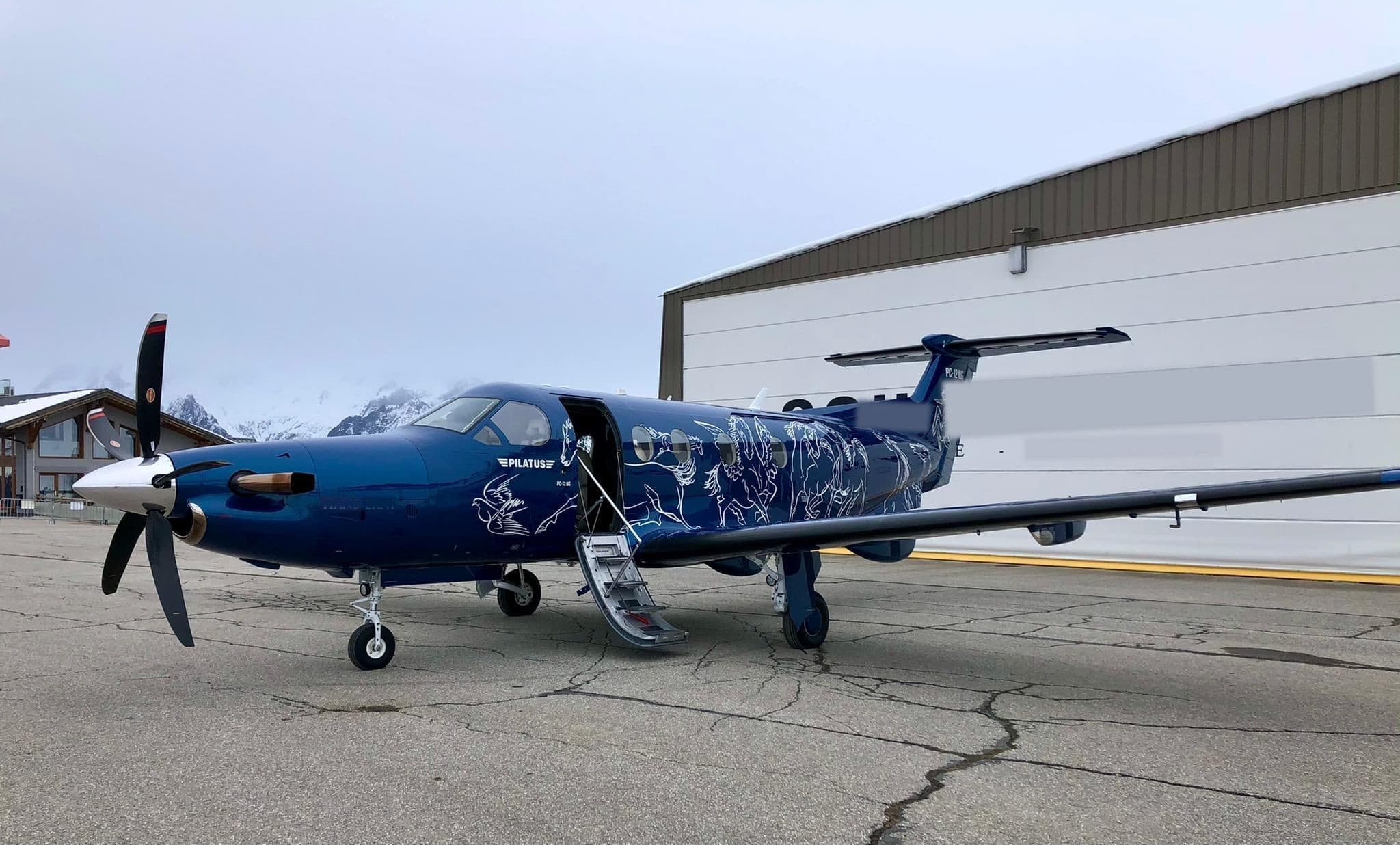 Pilatus PC 12 - image 1